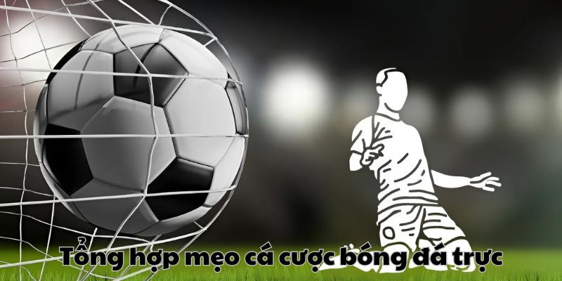 Mẹo cá cược bóng đá trực tuyến từ Fun88