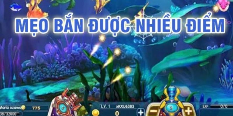 Những mẹo bắn cá online chuẩn và hữu hiệu